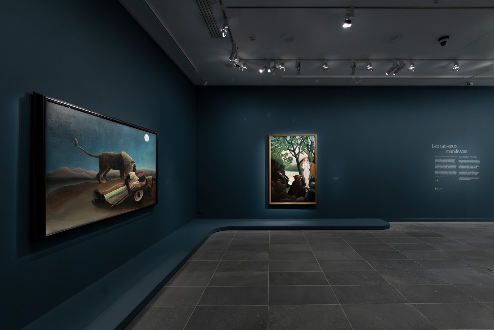 aura-studio-henri-rousseau-lambition-de-la-peinture_vue-salle-rousseau-37.jpg